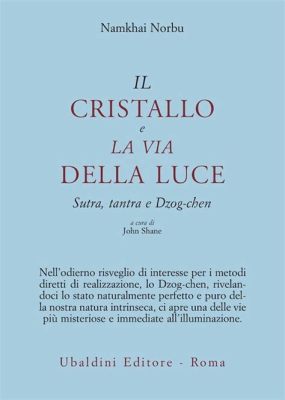   Il Sutra della Luce: Un'Esplorazione Mistica dell'Infinito!